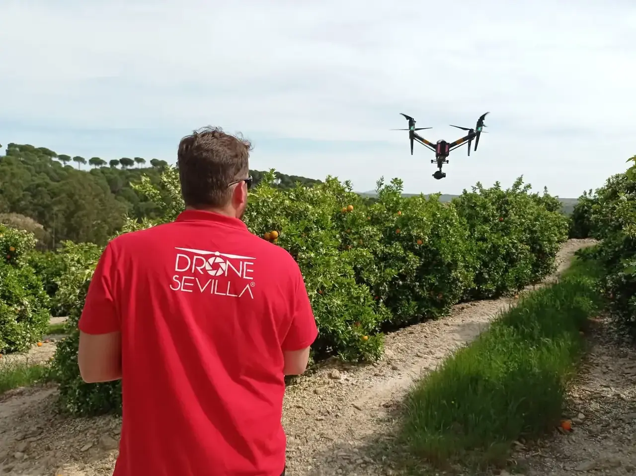 Dron de pulverización agrícola